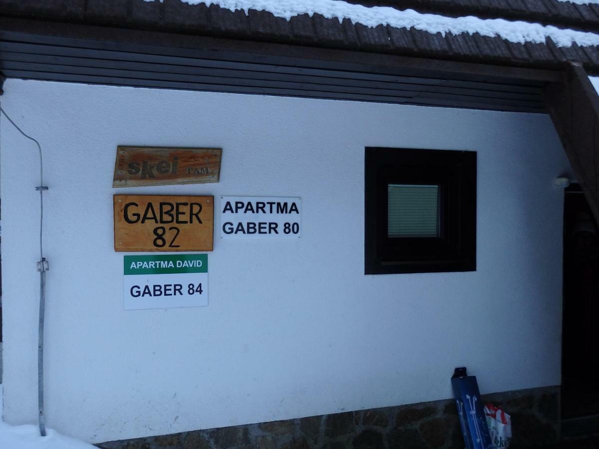 Apartma Gaber 80 Zreče Extérieur photo